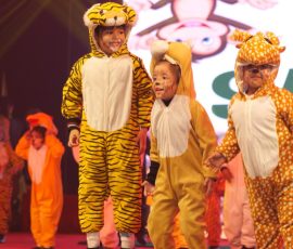Animal Kingdom 2025